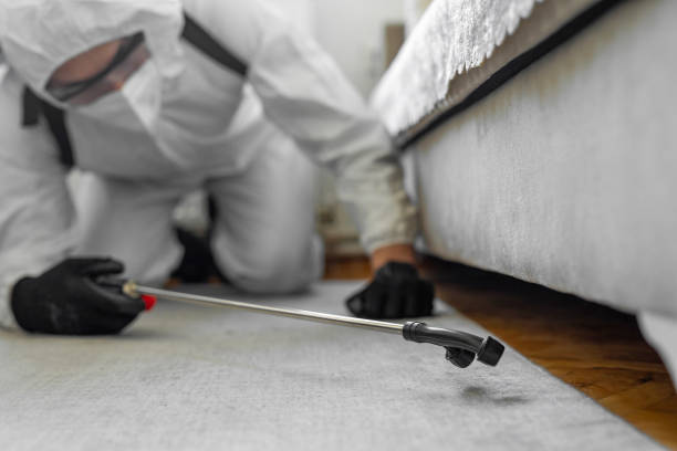 Professional Termite Control technician working in Clermont, GA