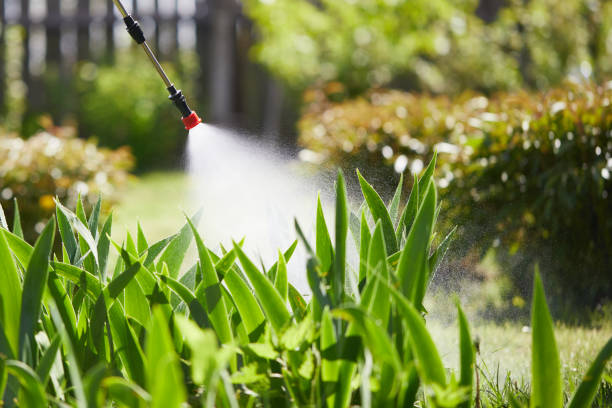 24/7 Emergency Termite Control experts in Clermont, GA